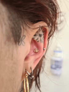 Conch piercing performed by Jane at Eternal Gold in Glasgow with a 14kt yellow gold bee