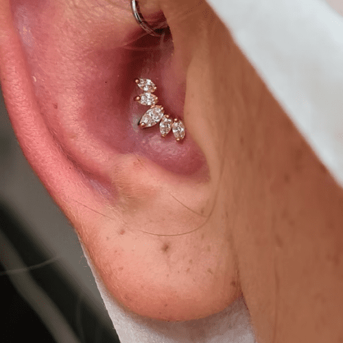 Conch piercing done at Eternal Gold in Glasgow with a 14kt yellow gold CZ prong set pice