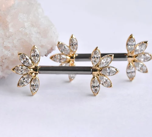 Nipple/pair piercing