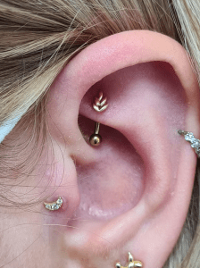 Rook piercing with 14kt yellow gold curved bar by junipurr jewellery